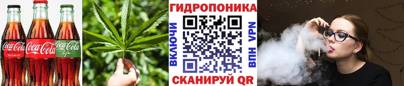 kraken как зайти  Барабинск  Еда ТГК марихуана 