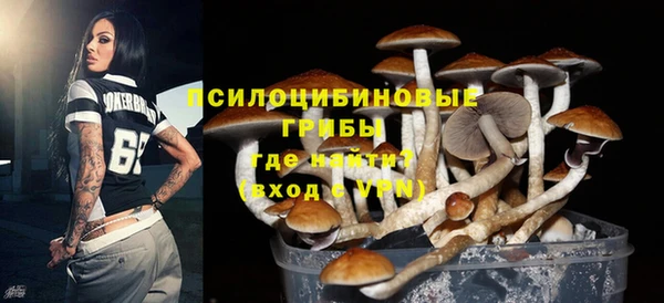 ALPHA-PVP Арсеньев