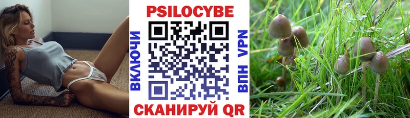 цены Барабинск Псилоцибиновые грибы прущие грибы